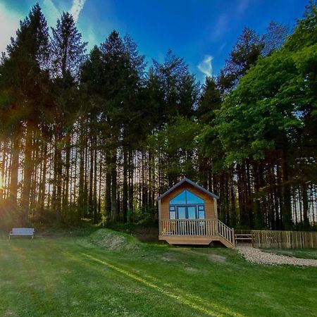 Cabin In The Woods - 1 Bedroom Lodge - Kilgetty Stepaside  Exterior foto