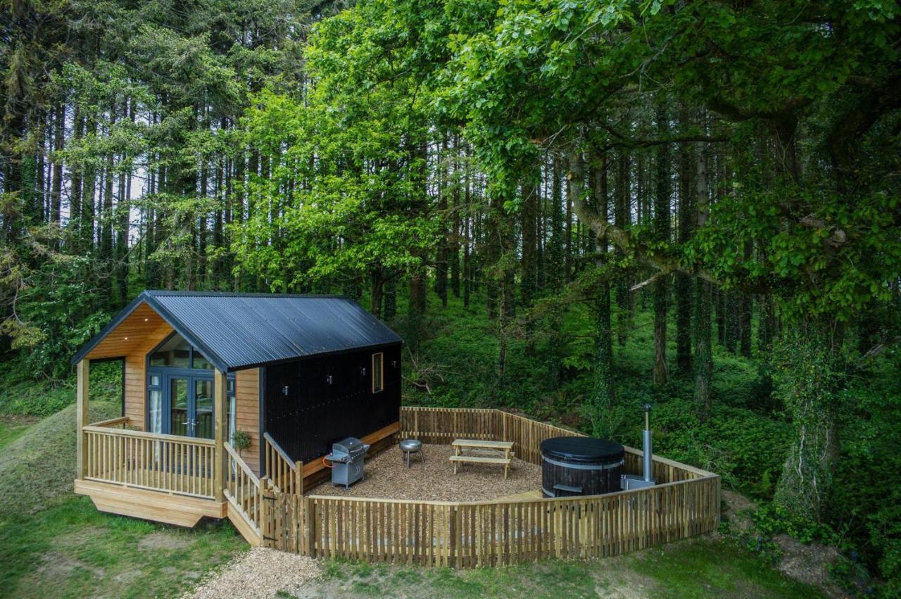 Cabin In The Woods - 1 Bedroom Lodge - Kilgetty Stepaside  Exterior foto