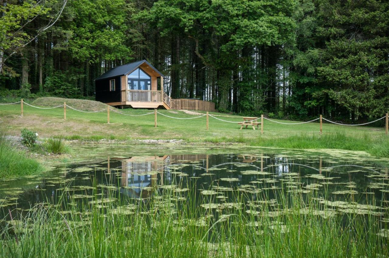 Cabin In The Woods - 1 Bedroom Lodge - Kilgetty Stepaside  Exterior foto