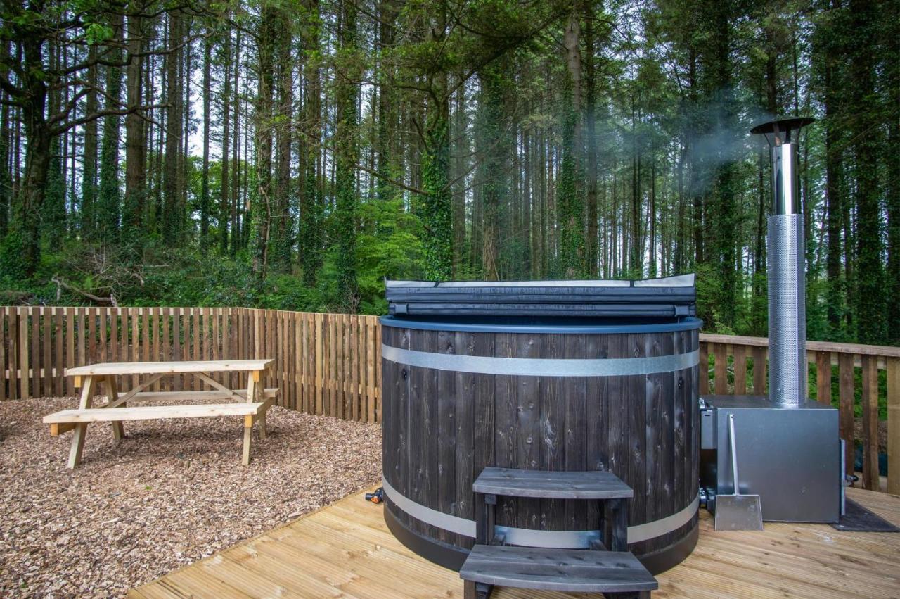 Cabin In The Woods - 1 Bedroom Lodge - Kilgetty Stepaside  Exterior foto