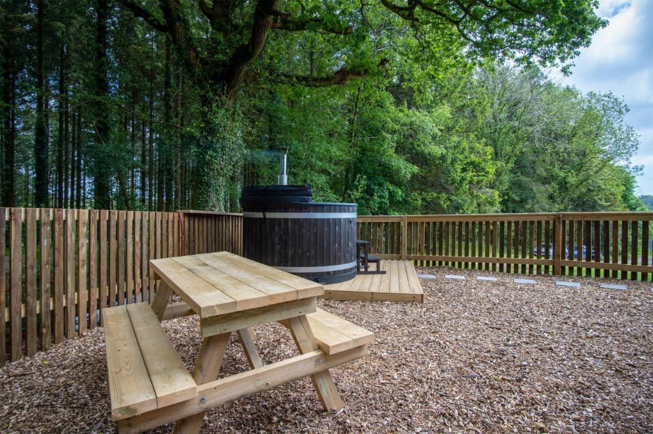 Cabin In The Woods - 1 Bedroom Lodge - Kilgetty Stepaside  Exterior foto