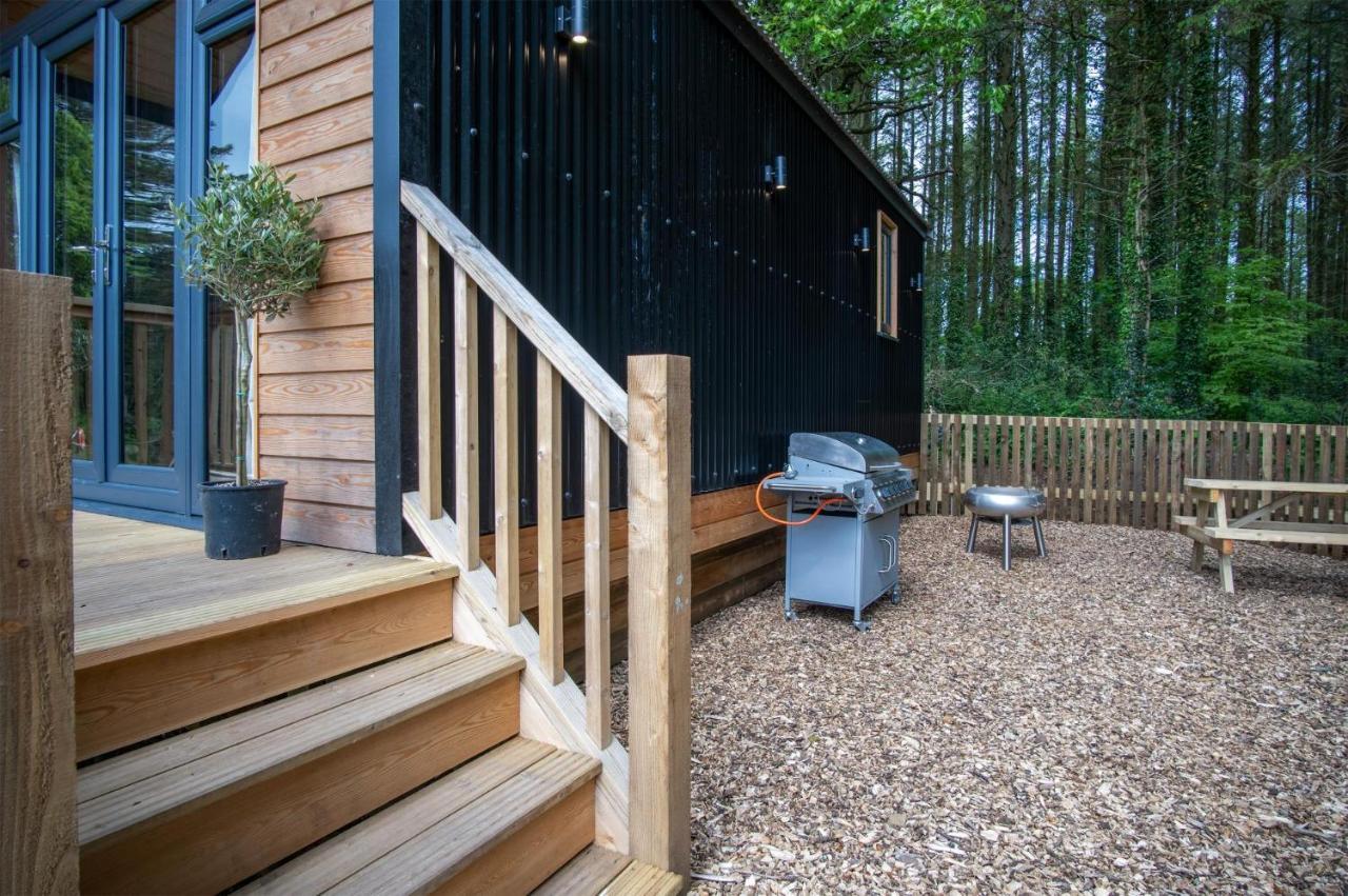Cabin In The Woods - 1 Bedroom Lodge - Kilgetty Stepaside  Exterior foto