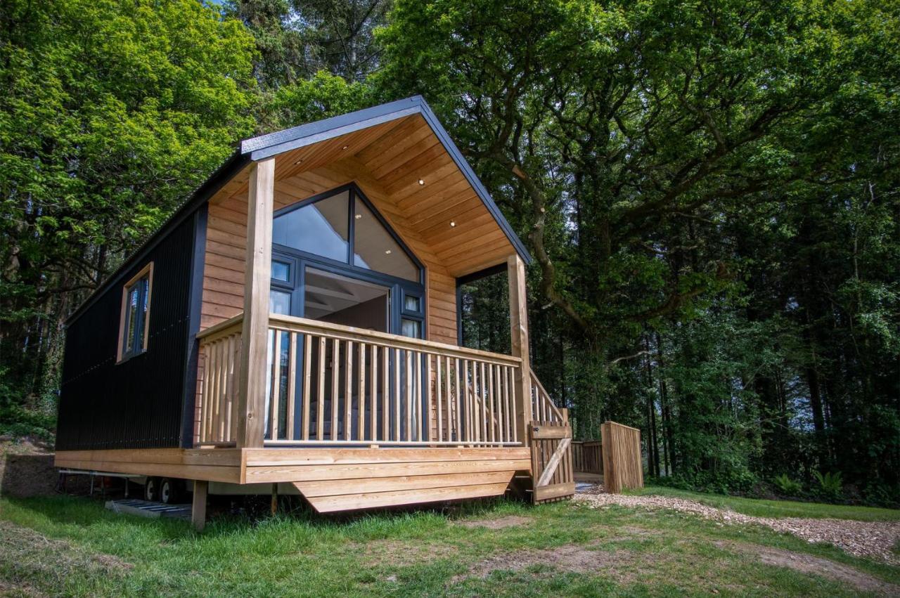 Cabin In The Woods - 1 Bedroom Lodge - Kilgetty Stepaside  Exterior foto