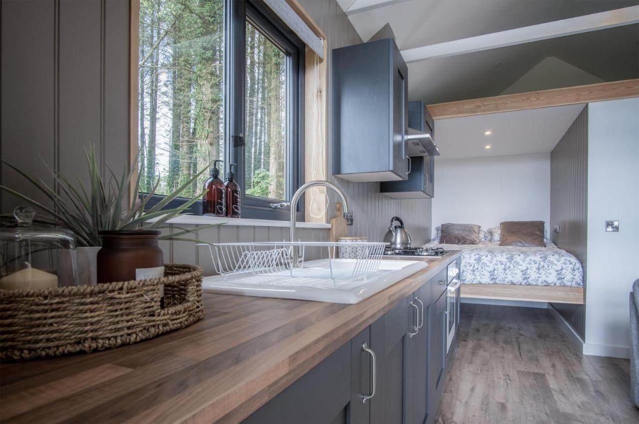 Cabin In The Woods - 1 Bedroom Lodge - Kilgetty Stepaside  Exterior foto